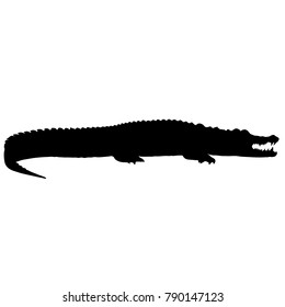 Black And White Vector Alligator Silhouette