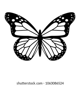 black and white vector butterfly