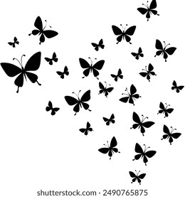 Blanco y negro , Vector , Mariposa