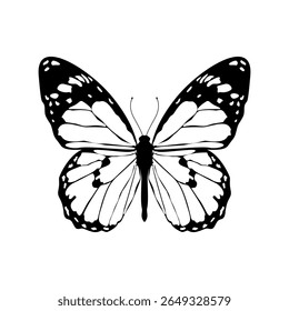 Black and white vector butterfly illustration with intricate wing patterns, perfect for tattoos, designs or art prints. Minimalist and elegant, ideal for nature-themed decor. Isolated art line. EPS 10
