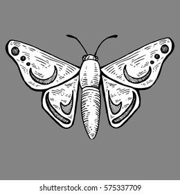 Black and white vector butterfly isolated on a gray background.