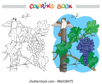 Black and White Vector Cartoon Illustration of Bunch of Grapes with bird for Coloring Book.