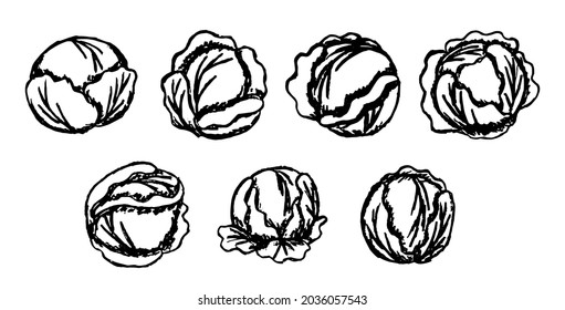 Black and white vector cartoon sketches of cabbage heads. Set of simple line drawings of cabbage harvest