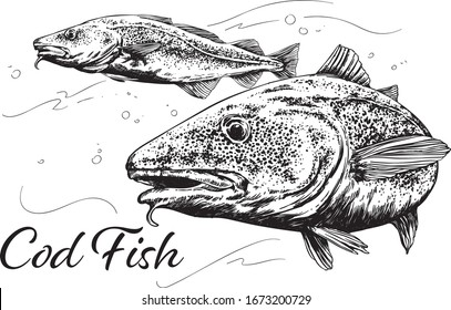 Black and white vector codfish