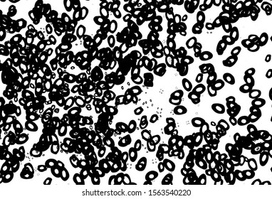 Black and white vector cover with spots. Beautiful colored illustration with blurred circles in nature style. Design for business adverts.