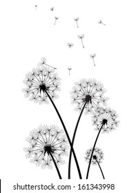 black and white vector dandelions