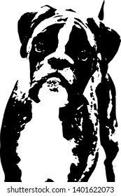 Black and white vector of deutsch boxer dog