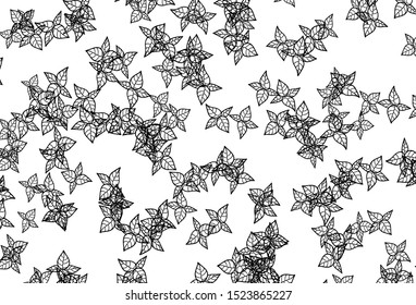 Black and White vector doodle backdrop with leaves. Colorful abstract illustration with leaves in doodle style. New design for your business.