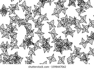 Black and White vector doodle layout with leaves. A vague abstract illustration with leaves in doodles style. Doodle design for your web site.