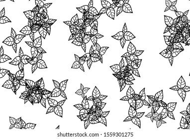 Black and White vector doodle pattern with leaves. Sketchy doodles with leaves on blurred background. A new texture for your wallpaper design.