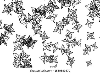 Black and White vector doodle template with leaves. Glitter abstract illustration with doodles and leaves. The best design for your business.