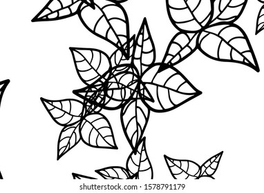 Black and White vector doodle texture with leaves. Colorful illustration in doodle style with leaves. Template for backgrounds of cell phones.
