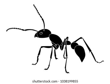 Black and white vector drawing of ants.