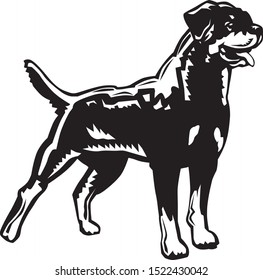 black and white vector drawing of a beautiful rottweiler