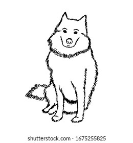 Black and white vector drawing of a Samoyed dog. A cute pet is sitting and waiting for the owner. The big shaggy dog looks at us expectantly and with reproach. Good white thoroughbred dog