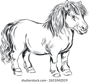 Black and white vector drawing of a Scottish pony with a long mane and tail, made in linear technique. Detailed graphics for coloring or illustration,emphasizing the cute and kind nature of the animal
