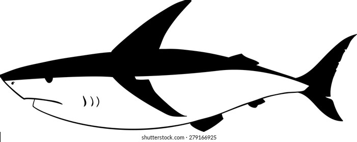 Black and white vector drawing of a shark
