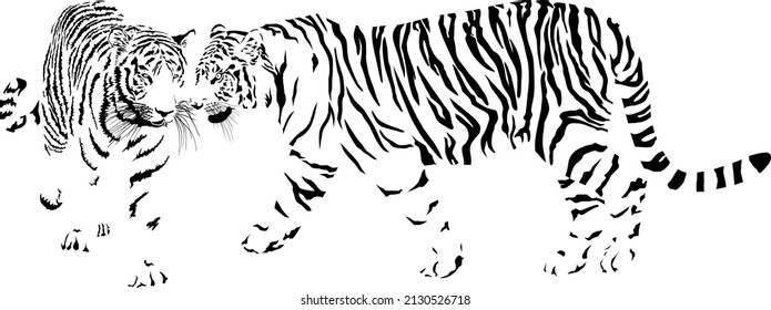black and white vector drawing of tigers