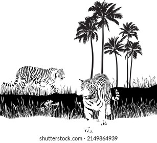 black and white vector drawing of two tigers in the wild