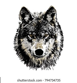 Black and white vector drawing of a wild wolf head. 