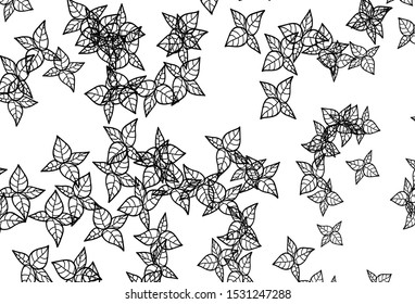 Black and White vector elegant template with leaves. Shining colored illustration with leaves in doodle style. Hand painted design for web, leaflets.