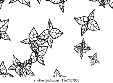 Black and White vector elegant template with leaves. Sketchy doodles with leaves on blurred background. Hand painted design for web, wrapping.