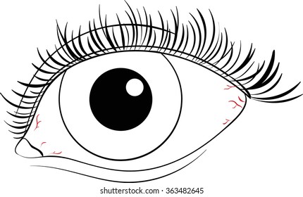 Black white vector eye.Isolated.