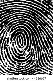 Black and White Vector Fingerprint Crop - Very accurately scanned and traced ( Vector is transparent so it can be overlaid on other images, vectors etc.)