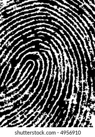 Black and White Vector Fingerprint Crop - Very accurately scanned and traced ( Vector is transparent so it can be overlaid on other images, vectors etc.)