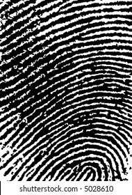 Black and White Vector Fingerprint Crop - Very accurately scanned and traced ( Vector is transparent so it can be overlaid on other images, vectors etc.)