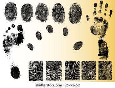 Black and White Vector Fingerprint and footprint elements - Very accurately scanned and traced ( Vectors are transparent so it can be overlaid on other images, vectors etc.)