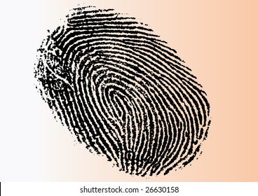 Black and White Vector Fingerprint - Very accurately scanned and traced ( Vector is transparent so it can be overlaid on other images, vectors etc.)