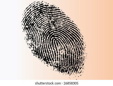 Black and White Vector Fingerprint - Very accurately scanned and traced ( Vector is transparent so it can be overlaid on other images, vectors etc.)