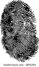 Black and White Vector Fingerprint - Very accurately scanned and traced ( Vector is transparent so it can be overlaid on other images, vectors etc.)