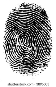 Black and White Vector Fingerprint - Very accurately scanned and traced ( Vector is transparent so it can be overlaid on other images, vectors etc.)