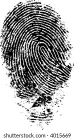 Black and White Vector Fingerprint - Very accurately scanned and traced ( Vector is transparent so it can be overlaid on other images, vectors etc.)