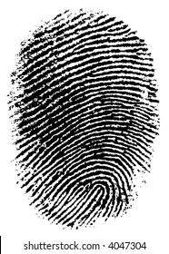 Black and White Vector Fingerprint - Very accurately scanned and traced ( Vector is transparent so it can be overlaid on other images, vectors etc.)