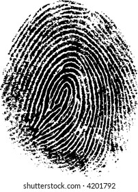 Black and White Vector Fingerprint - Very accurately scanned and traced ( Vector is transparent so it can be overlaid on other images, vectors etc.)