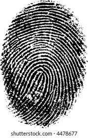 Black and White Vector Fingerprint - Very accurately scanned and traced ( Vector is transparent so it can be overlaid on other images, vectors etc.)