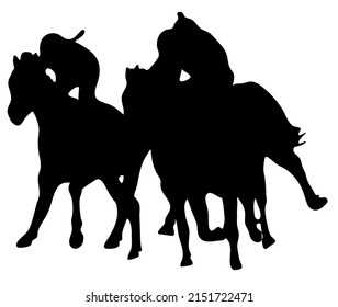 Black and white vector flat illustration: racing horses and riders silhouette