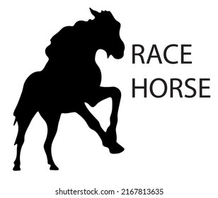 Black and white vector flat illustration: racing horse and rider silhouette