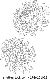 Black and white vector floral motif, line art