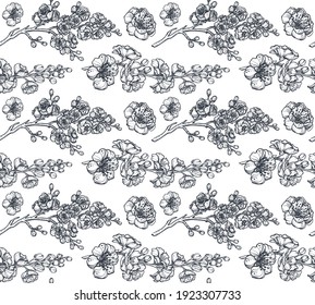 Black and white vector floral seamless pattern of sakura flowers and cherry tree branches. Romantic elegant endless background.
