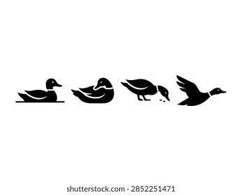 A black and white vector graphic featuring a set of four duck silhouettes showing various actions like swimming, resting, feeding, and flying.