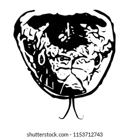 Black and white vector graphic of a Smooth snake head face-on.