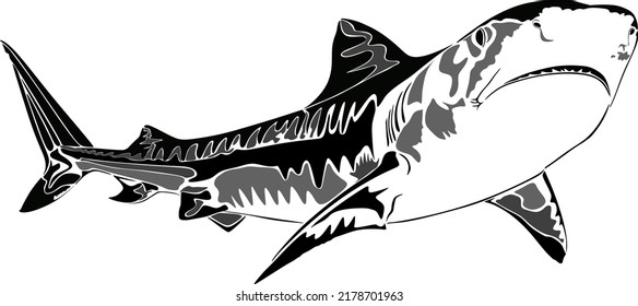 Black and white vector graphics with non-overlapping paths.