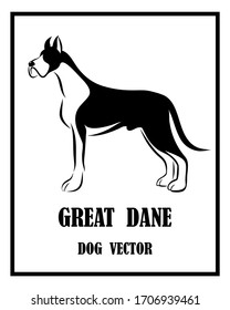 Black and white vector of Great Dane dog. It is standing