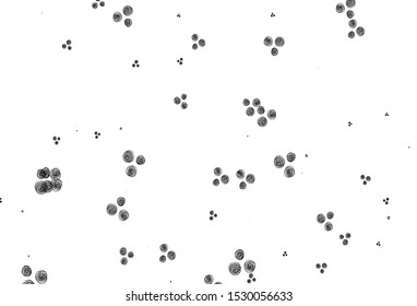 Black and white vector hand painted texture. Colorful illustration in doodle style with flowers. Pattern for wallpapers and coloring books.