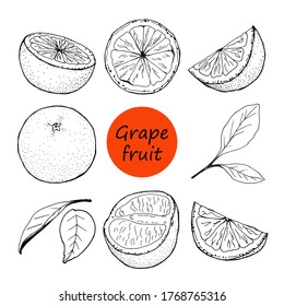 Black and white vector hand-drawn grapefruit set. Creates a summer mood and atmosphere of the tropics.