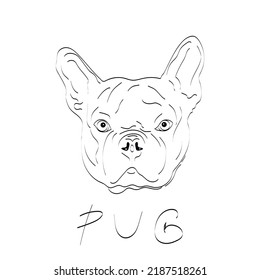 black and white vector head pug dog mops